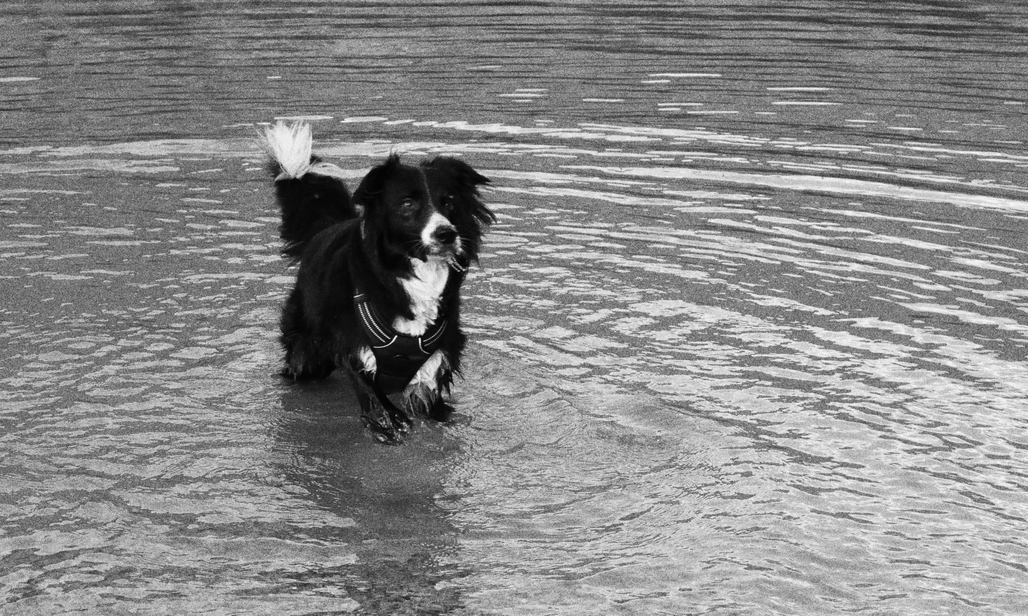 ueben / Ineichens on Tour / ueben